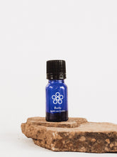 Load image into Gallery viewer, Agathosma betulina - Buchu - Cape Fynbos Oils