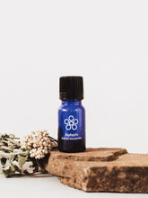 Load image into Gallery viewer, Helichrysum patulum - Imphepho - Cape Fynbos Oils