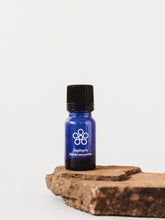 Load image into Gallery viewer, Helichrysum patulum - Imphepho - Cape Fynbos Oils