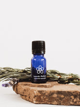 Load image into Gallery viewer, Lavandula angustifolia - True Lavender - Cape Fynbos Oils