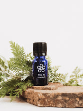 Load image into Gallery viewer, Artemisia afra - African Wormwood - Cape Fynbos Oils