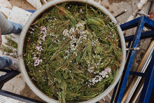 Load image into Gallery viewer, Fynbos Essential Oil - 500ml - Cape Fynbos Oils

